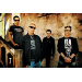 offspring